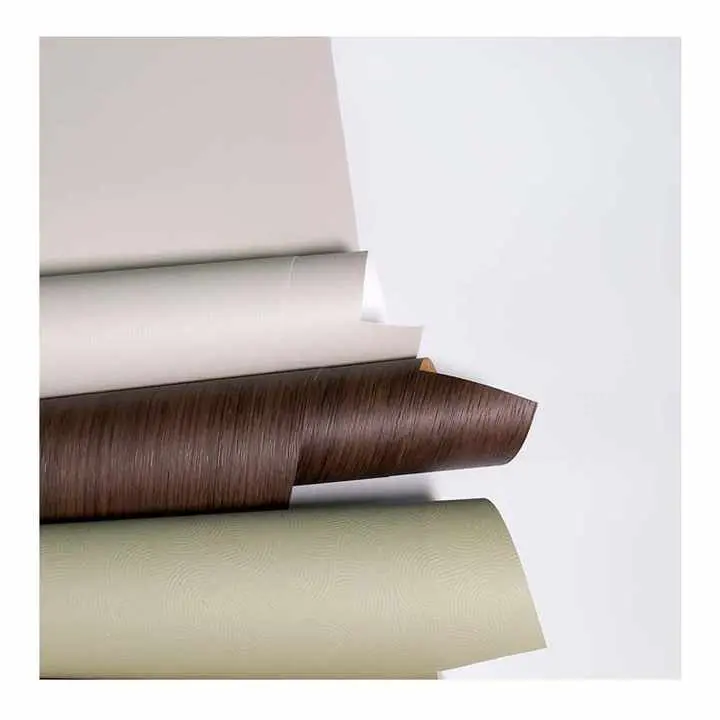 Per què la pel·lícula domèstica del PP es converteix en una elecció intel·ligent per a les cases modernes?